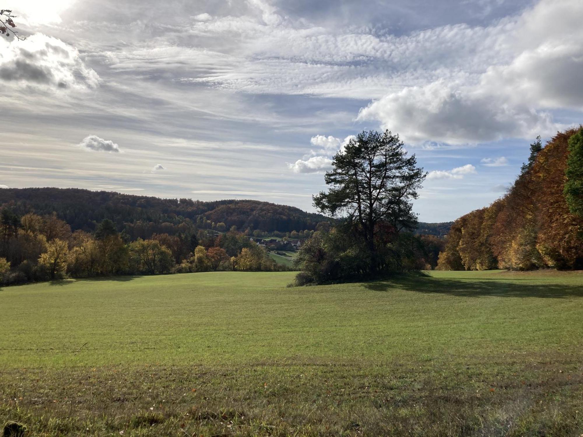Brunnerhof Urlaub Auf Dem Land Leilighet Hartenstein  Eksteriør bilde
