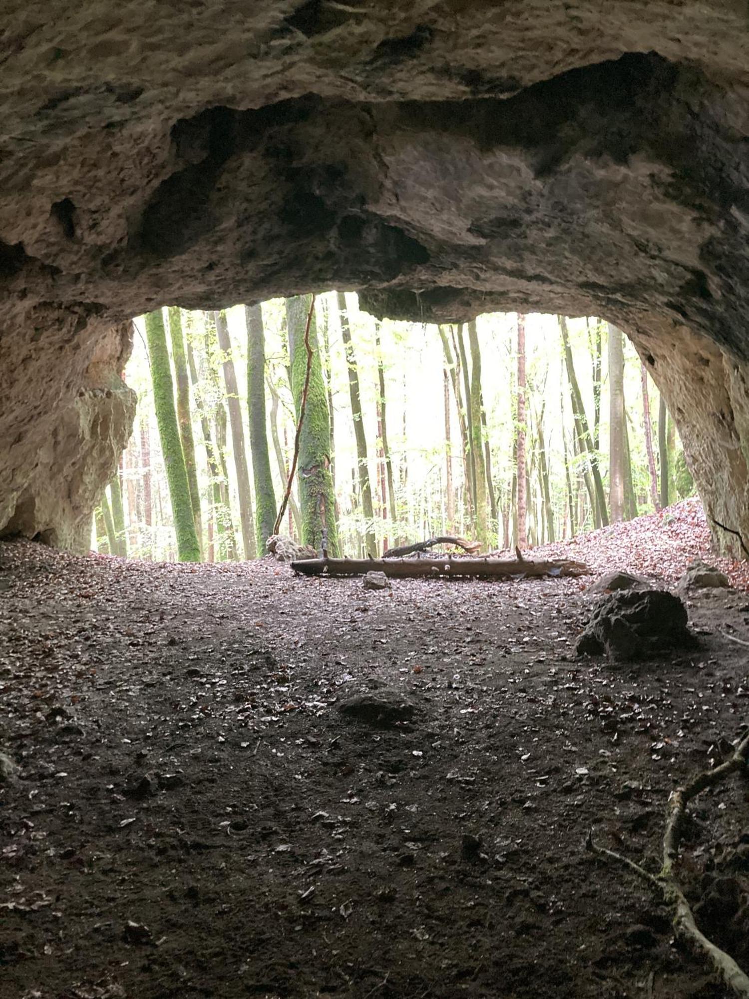 Brunnerhof Urlaub Auf Dem Land Leilighet Hartenstein  Eksteriør bilde