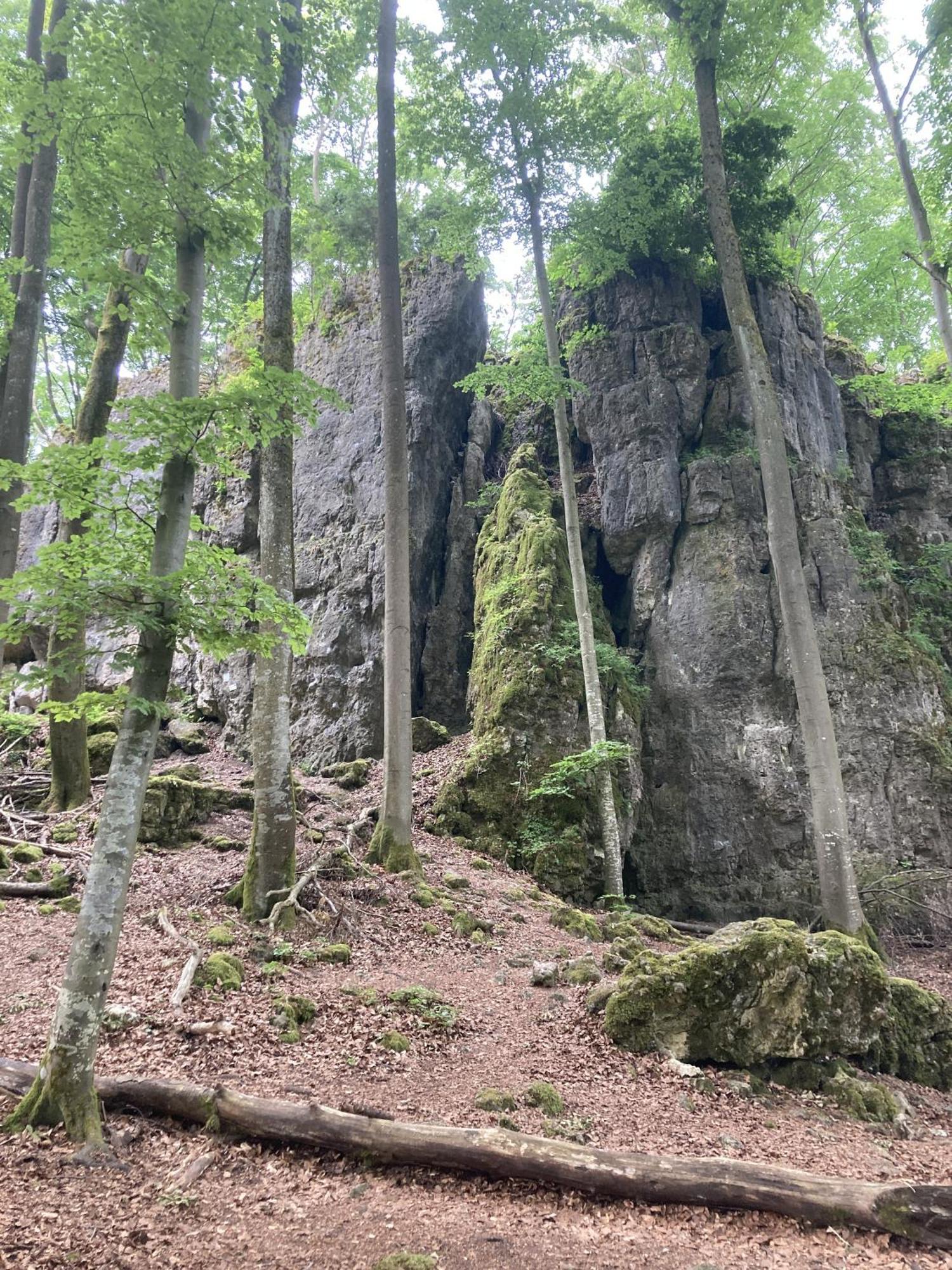 Brunnerhof Urlaub Auf Dem Land Leilighet Hartenstein  Eksteriør bilde