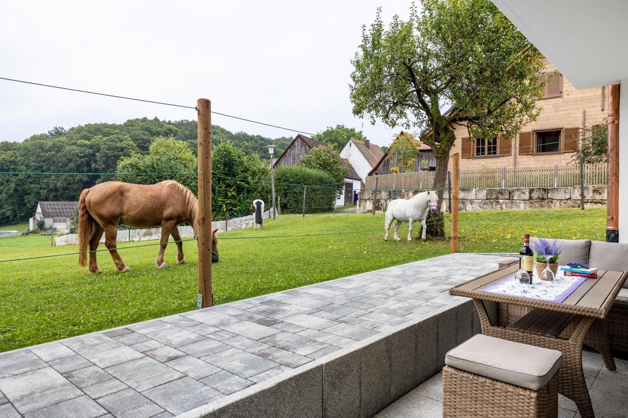 Brunnerhof Urlaub Auf Dem Land Leilighet Hartenstein  Eksteriør bilde